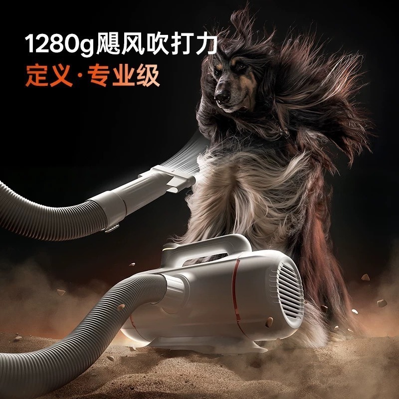 Pet bath blow-drying machine,  - Workshop Tools And Equipment ulasan dan harga
